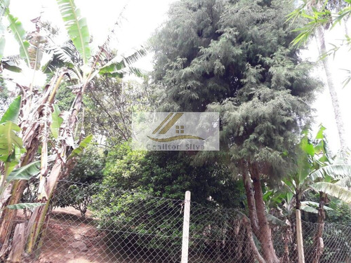 Imagem 8 de 15 de Vendo Chacara 1000 M² Em Ibiúna - 18