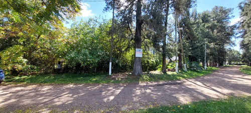 Terreno Amplio A 100mts De Colectivo Y Asfalto, Buen Entorno