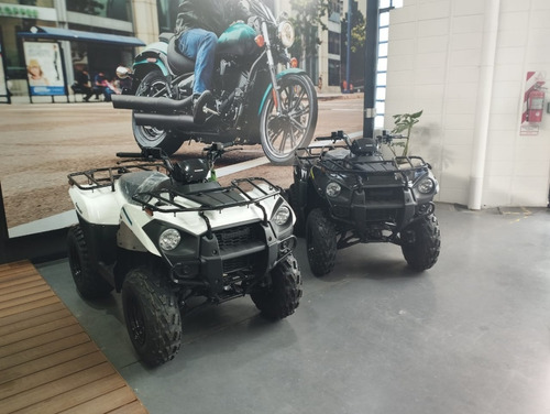 Imagen 1 de 15 de Kawasaki Brute Force 300