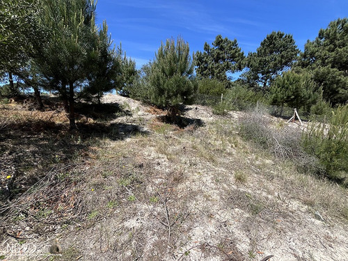 Terreno De 564 Mts2 En Jaureguiberry Sur