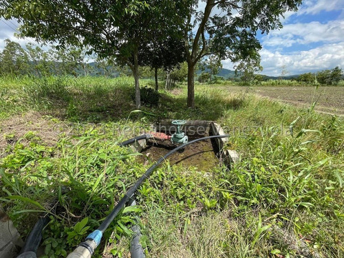Carlos Colmenarez Felx 23-33543 Vende Finca Con 10 Hectareas Y 4.642 Mts Pozo Profundo De 80 Metros, Bomba De 14 Hp Luz Trifasica Laguna De 50 Por 40 Metros Cochinera De 30 Corrales