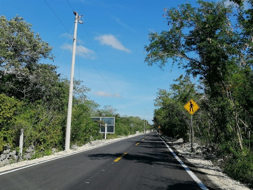 Imagen 1 de 6 de Terreno De 2h En Venta En Komchen