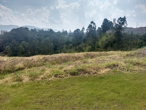 Imagem 18 de 19 de Condomínio Bosque Do Horto, Terreno Alto Padrão, Permuta Com Imóvel Menor Valor - 30751 - 31988964
