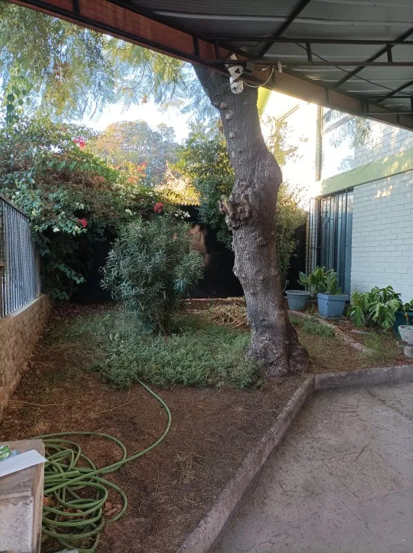 Imagen 2 de 10 de Excelente Casa En Nuñoa