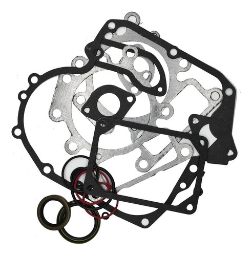 Juego De Empaques Briggs & Stratton Vertical 14.5 A 18.5 Hp