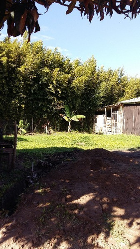 Terreno Em Restinga - Mi16402