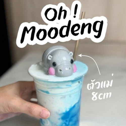 Molde De Silicona Para Gelatina De Hipopótamo Molde De Hipop
