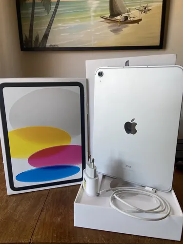 Ipad 10 Geração 256 Gb De Wi-fi + Cellular Silver (perfeito) (Novo