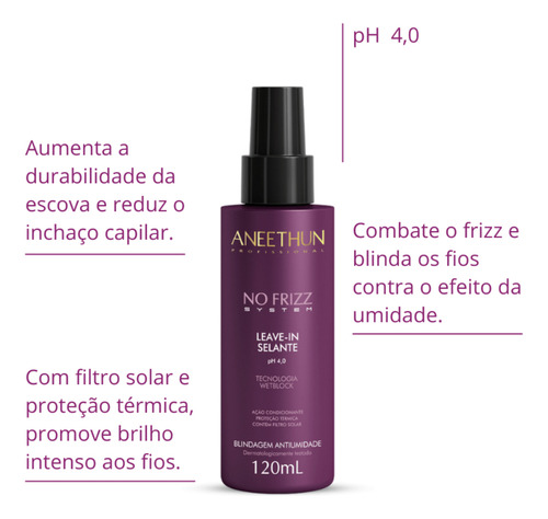 Aneethun No Frizz - Shampoo + Máscara + Leave In Antiumidade