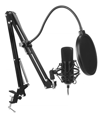 Kit De Microfone De Gravação Com Porta Usb 192 Khz/24 Bits P