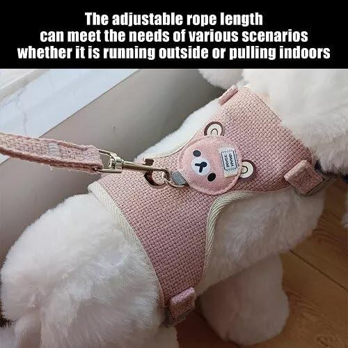 Conjunto De Collar Y Correa For Mascotas Pequeñas, Arnés