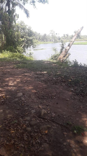 Imagem 27 de 29 de Chácaras Na Praia À Venda Em Itanhaem/sp - Compre O Seu Chácaras Na Praia Aqui! - 1488897
