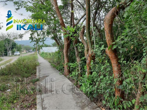 Imagen 3 de 10 de Terreno Comercial En Venta Primavera