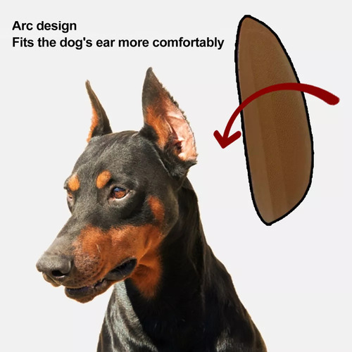 2x Mascota Perro Oreja Soporte Corrector Herramienta Perro