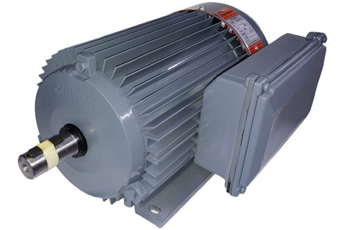 Imagen 2 de 6 de Motor Czerweny Alex Bajo Par 50hz 3000v.2 Polos A90scp2c
