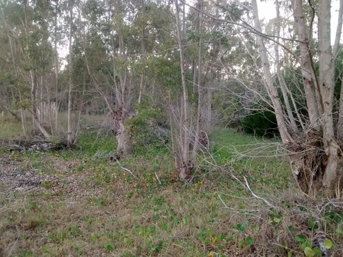 Imagen 4 de 9 de La Esmeralda, Rocha, Uruguay, Venta, Lote, Terreno, Solar.