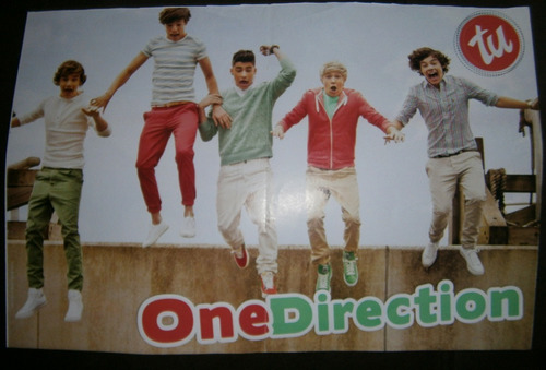 Poster One Direction 45 X 30