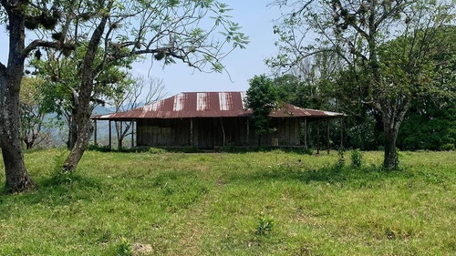 Rancho En Venta  Cerca De Palenque Chiapas