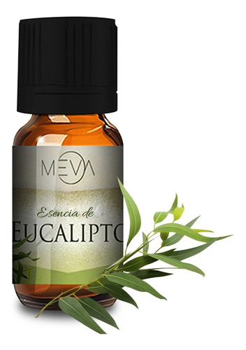 Pack 50pz Eucalipto Esencia Para Difusor Aceite Esencial 