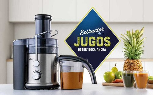 Extractor De Jugos Oster Fpstje320s Boca Ancha 1.25 Lts Color Plateado