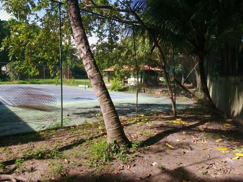 Imagem 6 de 14 de Terreno - Lri1135 - 32804973