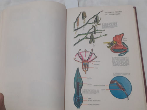Enciclopédia Tesouro Cientifico Completa Ilustrada Excelente (Usado)