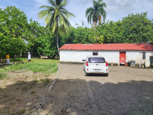 Granja Avicola Ventas La Ciénaga