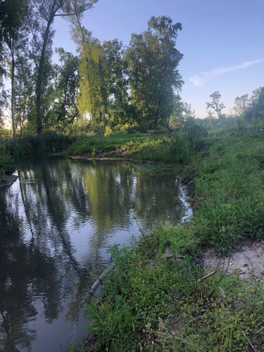 Imagen 6 de 10 de Campo - Gualeguaychu