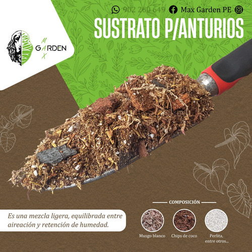 Sustrato Preparado Para Anturios 2 Litros