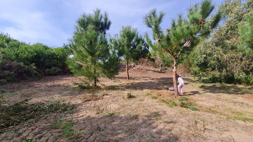Lote Venta Punta Medanos
