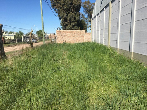 Imagen 9 de 21 de Galpón De 800 M2 Agustín Álvarez 4100 (sector Scania U$s 180.000)