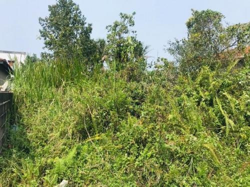 Imagem 4 de 4 de Terreno No Gaivota, À 1000 Metros Do Mar | 7177 E