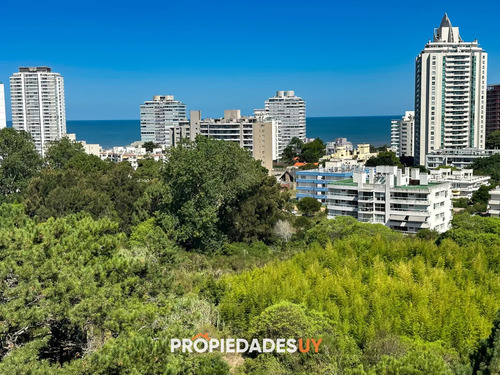 Un Nuevo Concepto De Edificio. View Ii. A Pasos De Todo!