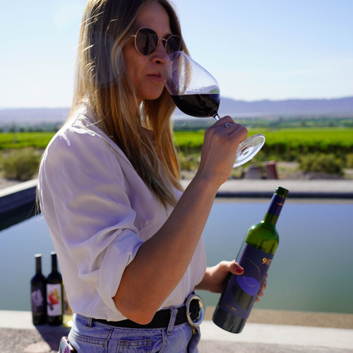 Vino Efecto Mariposa Chardonnay 750 Ml