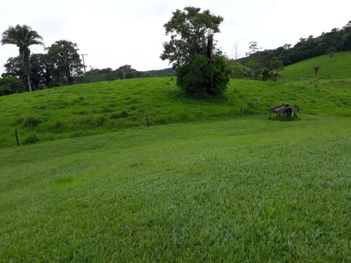 Fazenda - Fa00002 - 34684872