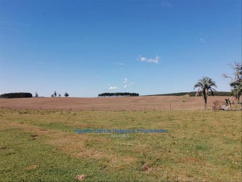 Campo Ganadero Proximo Castillos