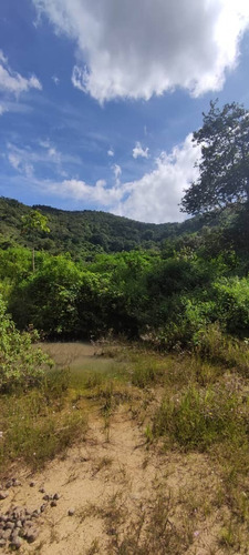 Imagen 5 de 12 de Finca En Venta Mina De Arena El Cambur. Estado Carabobo
