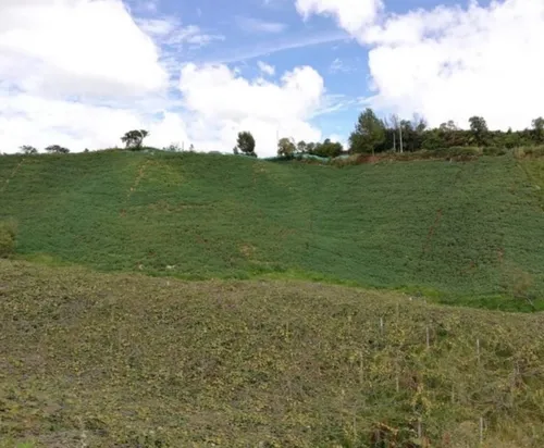 Hermosa Finca En Venta En El Municipio De La Unión Antioquia ~