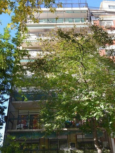 Imagen 17 de 18 de Departamento De 3 Ambientes Con Patios Soleados Caballito