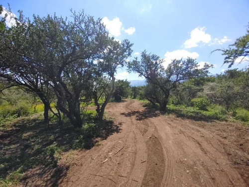 Imagen 2 de 14 de Preventa De Lotes De 1000m2 Y 1250m2 En San Luis