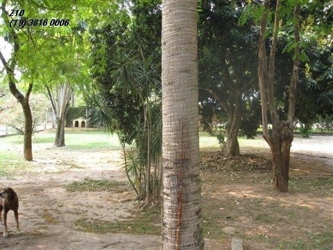 Ch0952- Chácaras De Recreio Inga- Z10 Imóveis Indaiatuba - Linda Chácara 03 Dormitórios - Ch0952 - 1782810