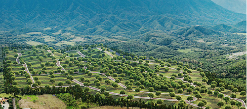 Terreno En Venta Allende Las Colmenas