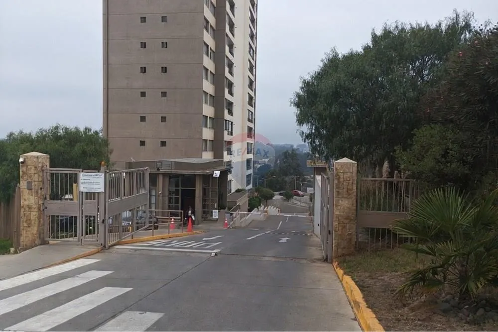 Imagen 1 de 24 de Venta Exclusiva En Viña: Confort Y Estilo