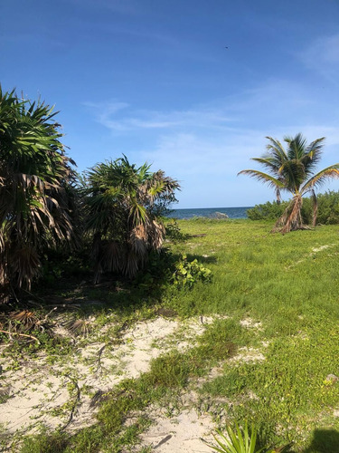 Terreno Frente La Playa 450 M2