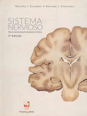 Neuroanatomia Funcional Angelo Machado Pdf | MercadoLivre 📦
