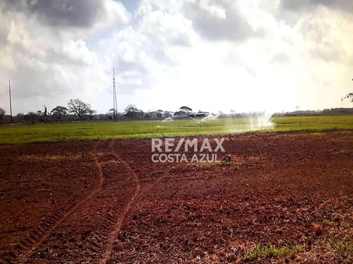 Imagen 9 de 15 de En Venta Finca De 45 Hectáreas De Terreno Plano, A Orilla De Carretera En El Alto, Yaracal.