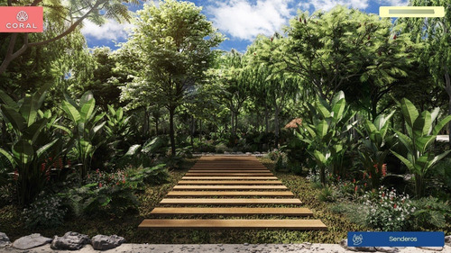 Imagen 26 de 26 de Lote En Venta En Cancún Con Financiamiento Y Rodeado De Naturaleza Perfecto Para Renta Vacacional