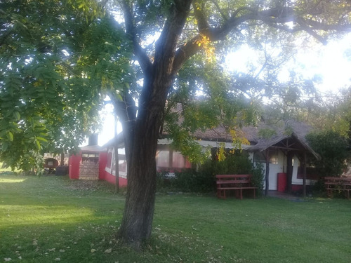 Imagen 2 de 13 de Quinta Alquiler En Zona Sur - Dia De Campo