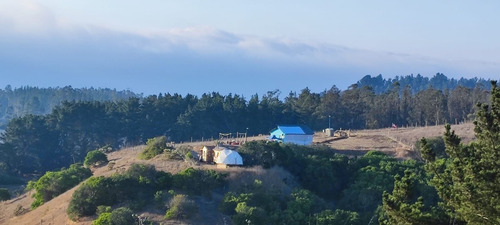 Parcela Con 2 Casas, A Orillas De Reserva El Yali Y Playa.