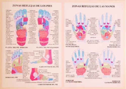 Lámina Con La Descripción De Las Zonas Reflejas De Los Pies 